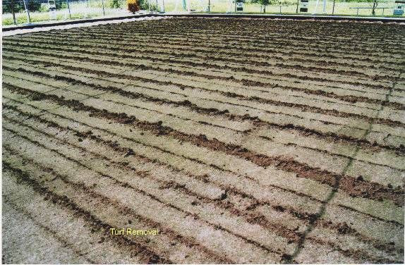 Turf removal