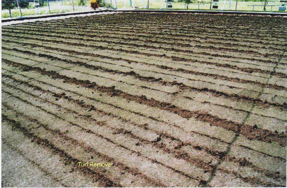 Turf removal